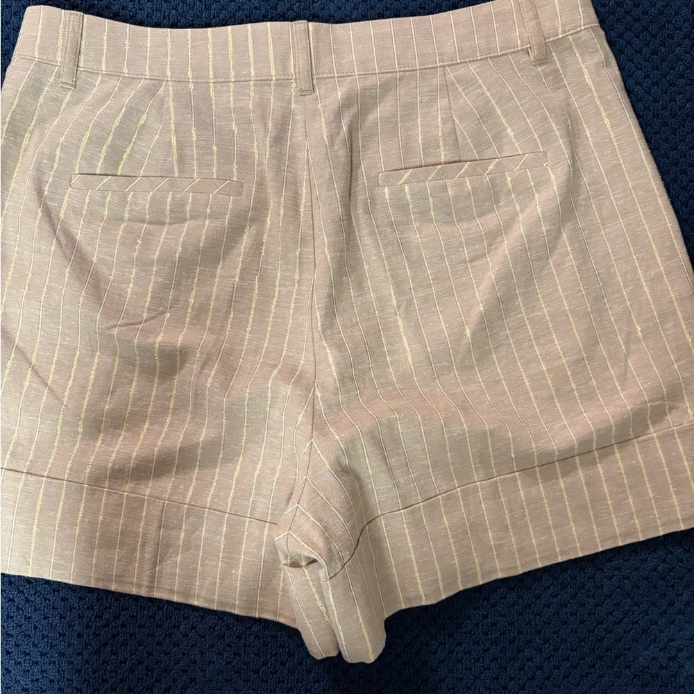 NWT Women’s J. Crew Light Tan Shorts with Gold Pinstripes Size 8 - Picture 16 of 16